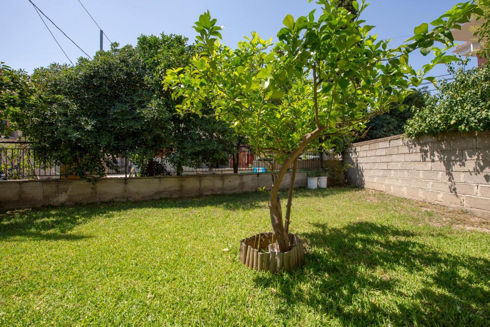 Mala - Μάλα Apartment Afytos Ngoại thất bức ảnh